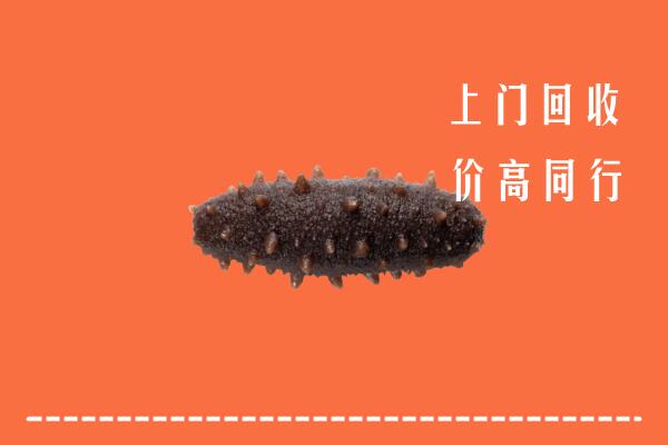 附近收购：梅州市回收海参